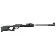 Gamo Roadster 10X