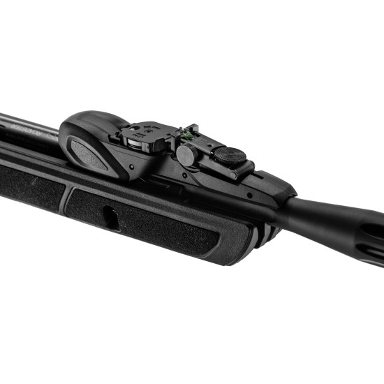 Gamo Roadster 10X