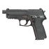 Sig Sauer P229 CO2 Pistol