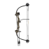 Barnett Tomcat MO Bow kit