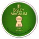 Bisley Magnum .22