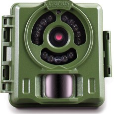 Trail Cameras
