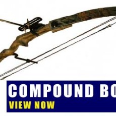 Compound Bows