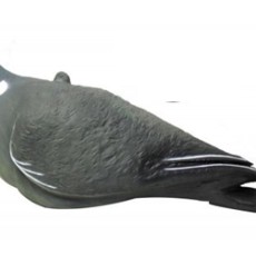 Decoys