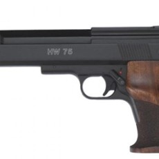 Pneumatic Pistols