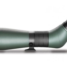 Spotting Scopes