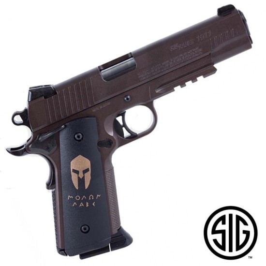 Sig Sauer 1911 Spartan Sig Sauer 1911 Spartan