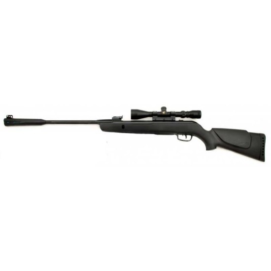 Gamo Whisper Sting With Scope Gamo Whisper Sting With Scope