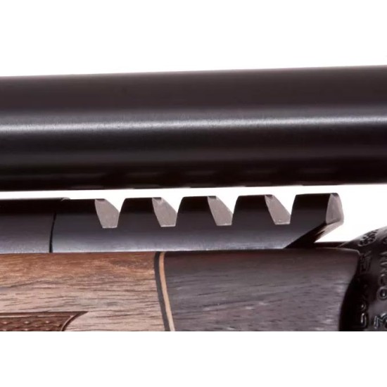 BSA R10 SE Standard Length Walnut BSA R10 SE Standard Length Walnut