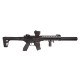 Sig Sauer MCX Black with Red Dot Sig Sauer MCX Black with Red Dot