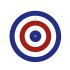 Bisley 14cm Coloured Grade 2 Targets