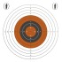 Bisley 14cm Standard Single Grade 2 targets