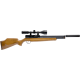 Webley Raider 10 XS Webley Raider 10 XS