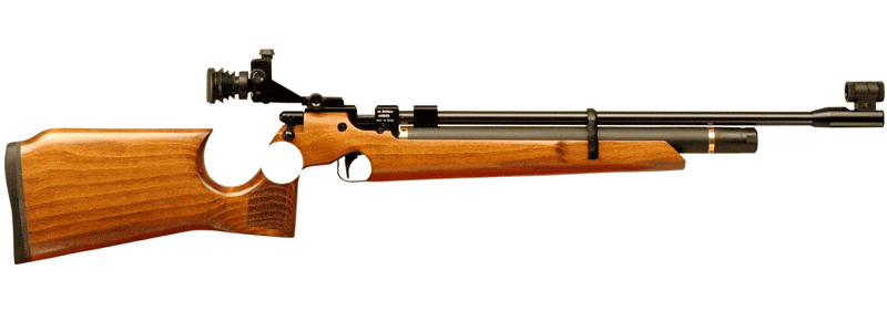 Air Arms S200 Target